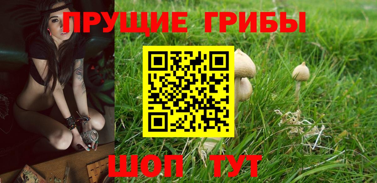 Псилоцибиновые грибы MAGIC MUSHROOMS Мелеуз